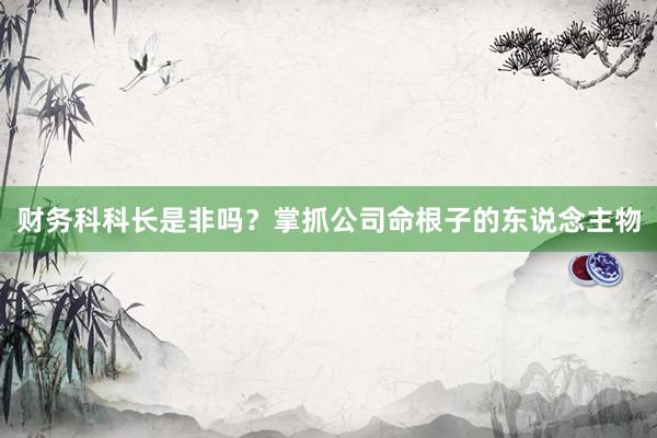 财务科科长是非吗？掌抓公司命根子的东说念主物