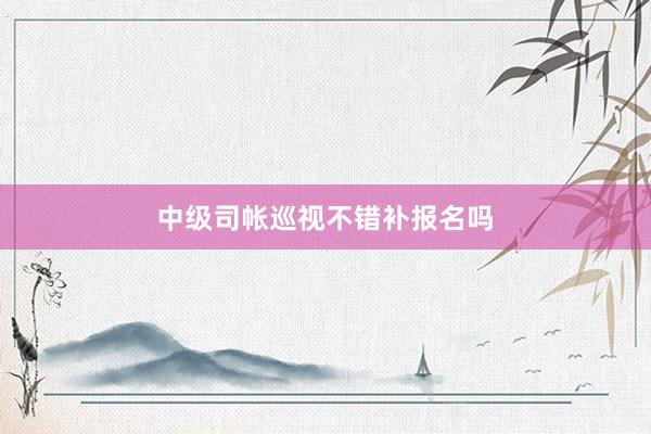 中级司帐巡视不错补报名吗