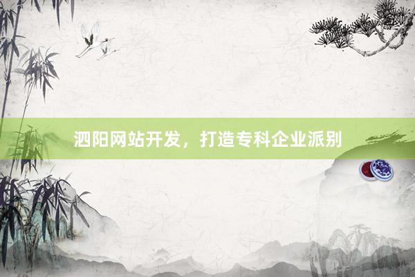 泗阳网站开发，打造专科企业派别